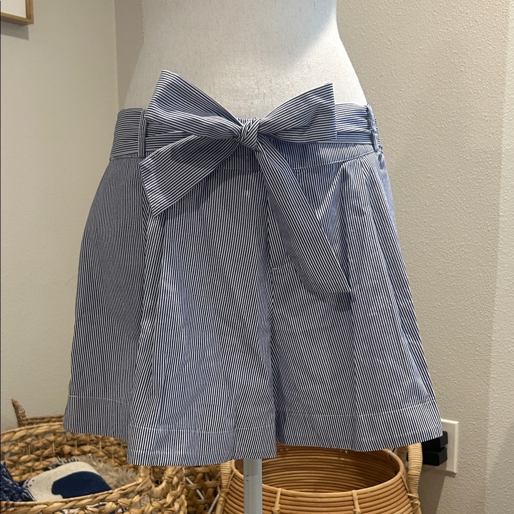 Parker Blue and White Striped Shorts